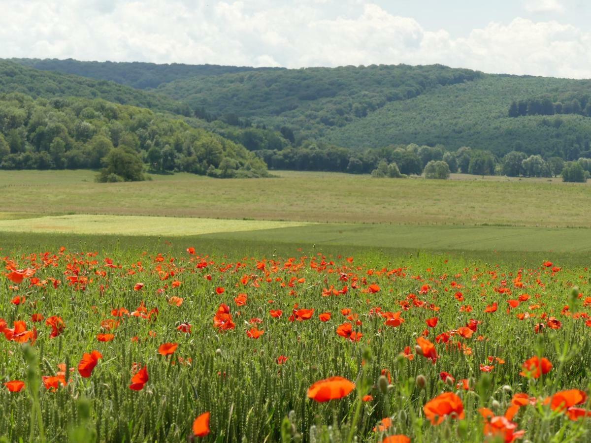 Domaine De La Mance - Maisonnette Avec Cheminee Vitrey-sur-Mance ภายนอก รูปภาพ