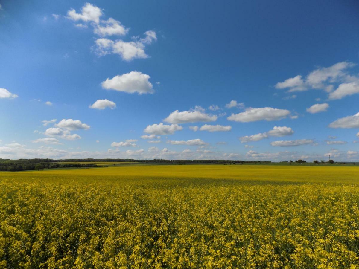 Domaine De La Mance - Maisonnette Avec Cheminee Vitrey-sur-Mance ภายนอก รูปภาพ